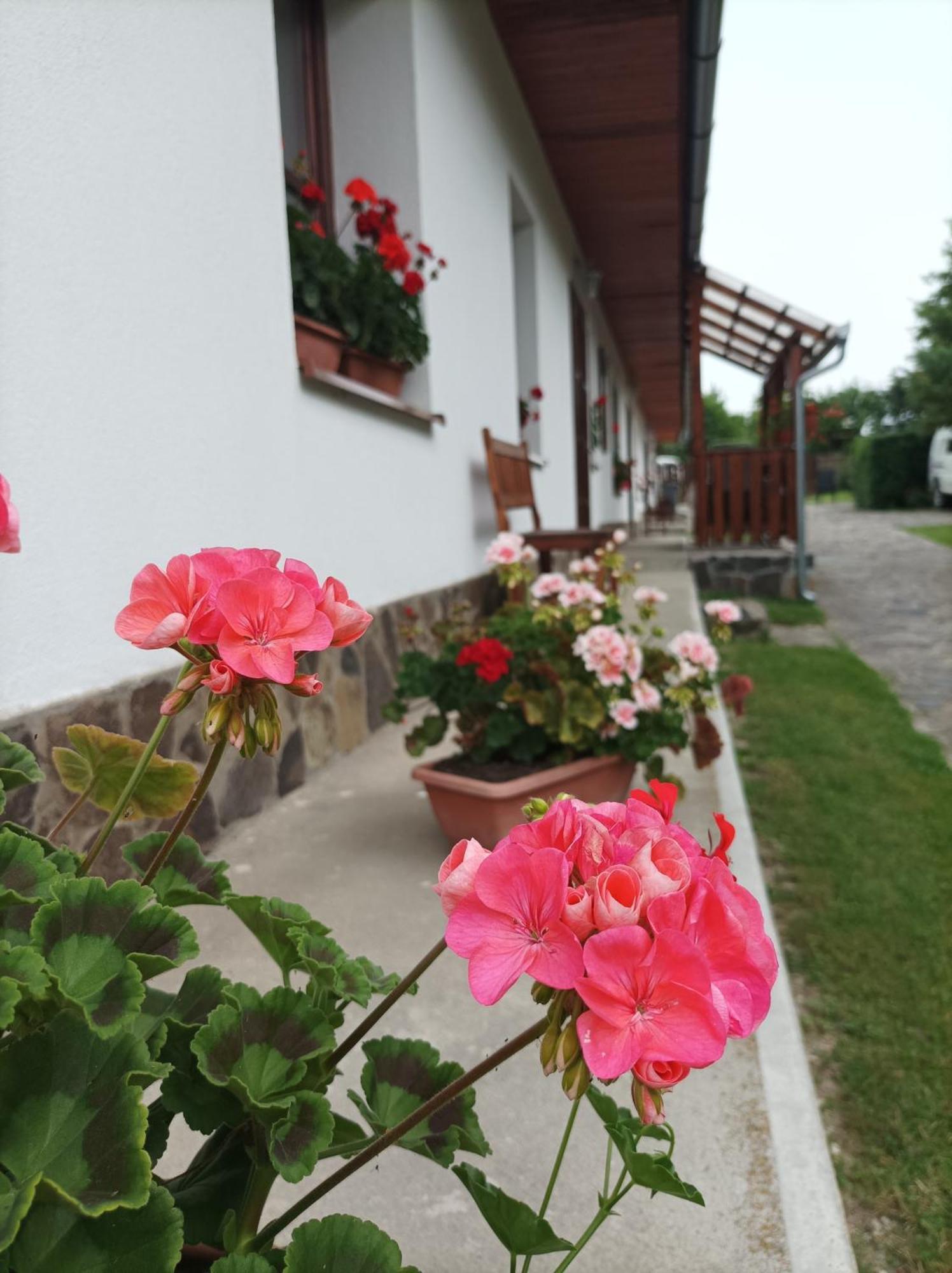 Hotel Kemences Vendeghaz Mikohaza Zewnętrze zdjęcie